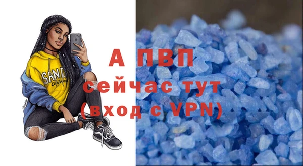 крисы Богданович